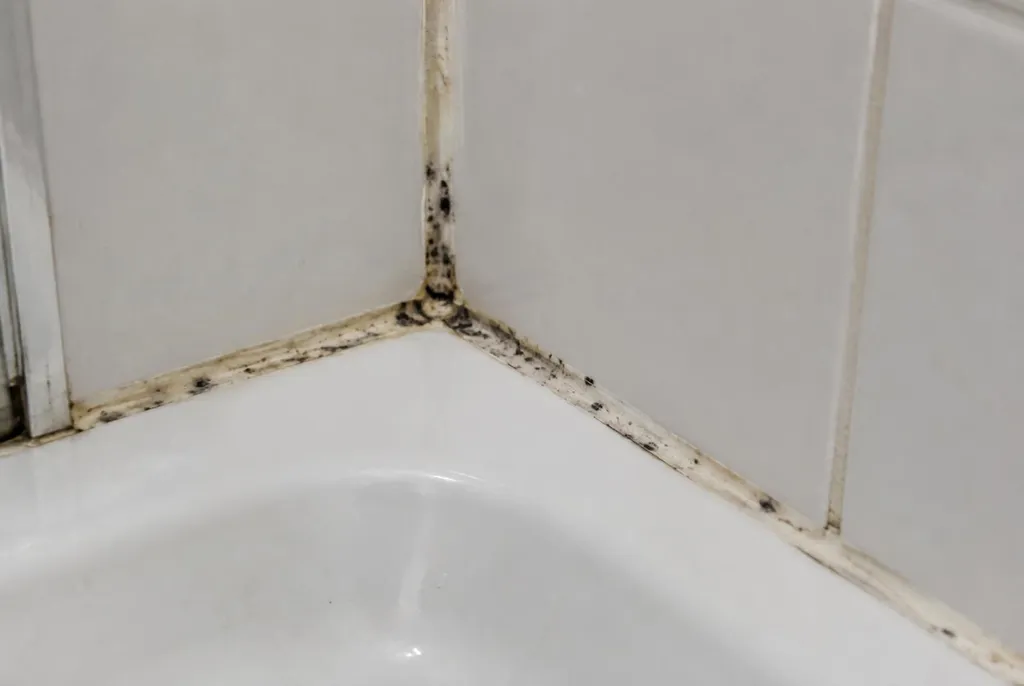 Kitbedrijf Achterveld – beschimmelde kitranden